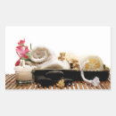 Zoek naar handdoek etiketten Bloemen