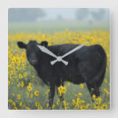 Zoek naar leuke koe klokken Dieren