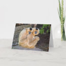 Zoek naar gibbon kaarten Elk persoon