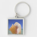 Zoek naar shell sleutelhangers Zeeschol