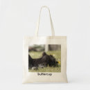 Zoek naar shetland pony accessoires Pony's