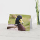 Zoek naar duck kaarten Natuur