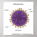 Zoek naar microbe kunst Virussen