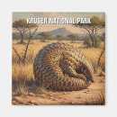 Zoek naar kruger national park magneten Natuur