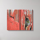 Zoek naar oog kunst Kat