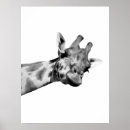 Zoek naar afrikaanse fotografie Oerwoud