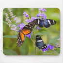 Zoek naar landelijke scène muismatten Horizontaal