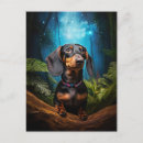 Zoek naar dachshund briefkaarten Blauw
