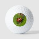 Zoek naar zoet golfballen Insect