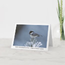 Zoek naar kikkervisje kaarten Vogel