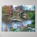 Zoek naar central park posters Skyline