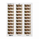 Zoek naar teckel borden Worsthond