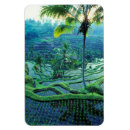 Zoek naar rijst magneten Bali