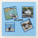 Zoek naar pelikaan onderzetters Vogel