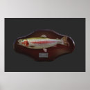 Zoek naar fishing kunst Rainbow