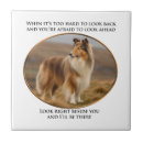 Zoek naar ruw tegels Collie