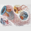 Zoek naar natuur tissue papier Ontkoppeling