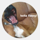 Zoek naar grappige boksers stickers Hond