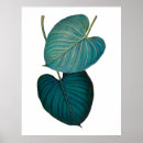 Zoek naar exotische posters Groen