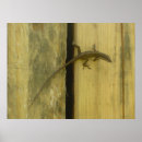 Zoek naar anole posters Groen