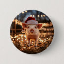 Zoek naar varken buttons Schattig