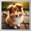 Zoek naar herdershond posters Puppy