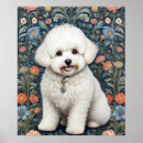 Zoek naar bichon frise kunst Schattig