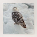 Zoek naar snowy owl puzzels Natuur