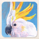 Zoek naar vogel bar drinkwaren Wilde dieren