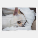 Zoek naar chihuahua keuken handdoeken Schattig