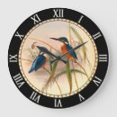 Zoek naar vogels klokken Illustratie