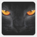 Zoek naar zwarte panters stickers Voor iedereen