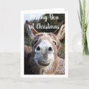Zoek naar donkey christmas kaarten Kerstmis