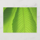 Zoek naar versheid briefkaarten Natuur