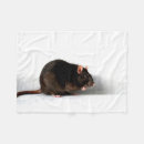 Zoek naar ratten dekens Knaagdier