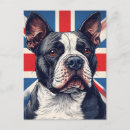 Zoek naar bull terrier briefkaarten Huisdier