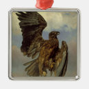 Zoek naar eagle ornamenten Roofvogel