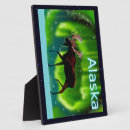 Zoek naar mos fotoplaat Voor iedereen