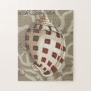 Zoek naar zeeschelpen puzzels Kust