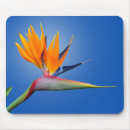 Zoek naar mooie vogels muismatten Computer