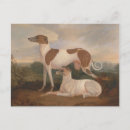 Zoek naar hond silhouet briefkaarten Honden