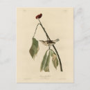 Zoek naar louisiana briefkaarten Kleur