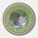 Zoek naar witte vogel magneten Voor haar