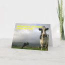 Zoek naar koeien kaarten Humor