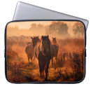 Zoek naar mooie paarden hoesjes Dieren