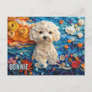 Zoek naar bichon frise briefkaarten Hondenliefhebber