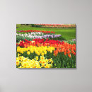 Zoek naar muurkunst Natuur
