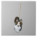 Zoek naar hond afbeelding tegels Grappig