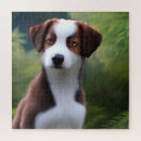 Zoek naar border collie puzzels Huisdier