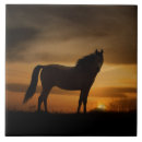 Zoek naar sun tegels Paarden